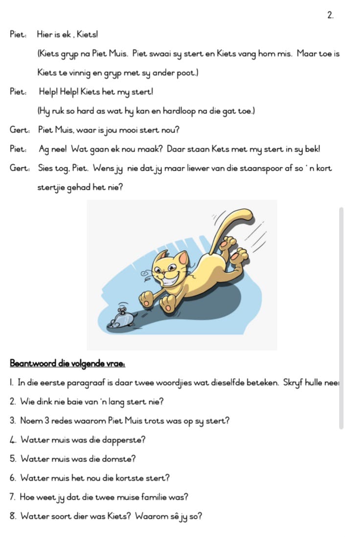 Graad 1 en Graad 2 Begripstoetse (Stel 3) - Image 2