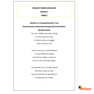 GRADE 4 English Home Language Term 3 test with memo