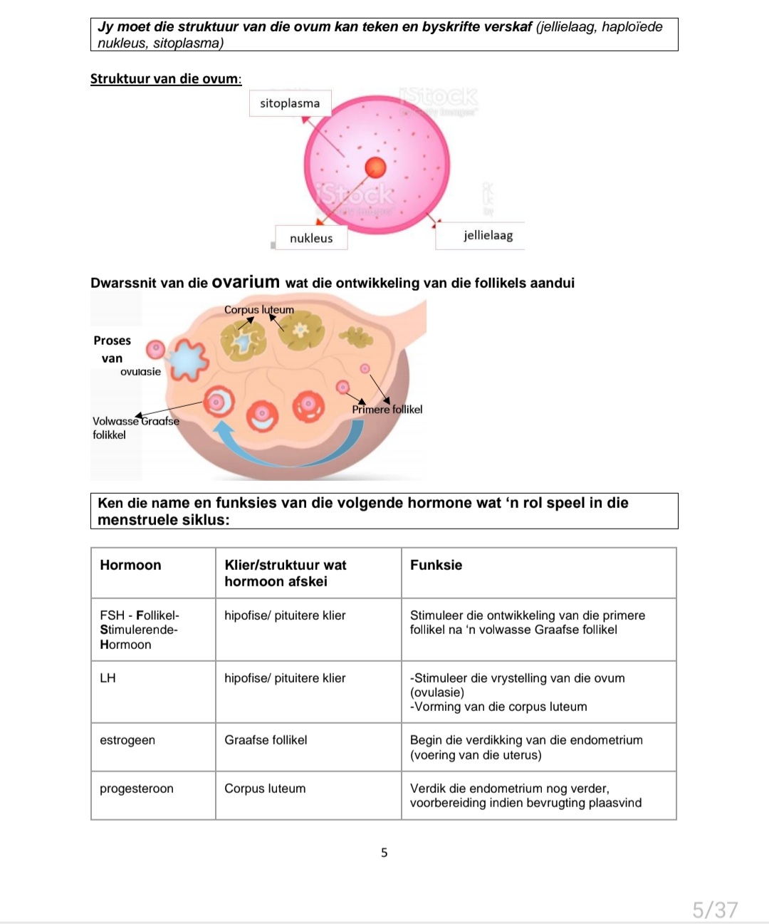 Graad 12 Lewenswetenskappe Opsommings en Hersiening Vraestel 1 - Image 3