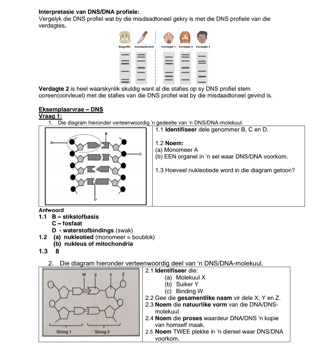 Graad 12 Lewenswetenskappe Opsommings en Hersiening Vraestel 2 - Image 3