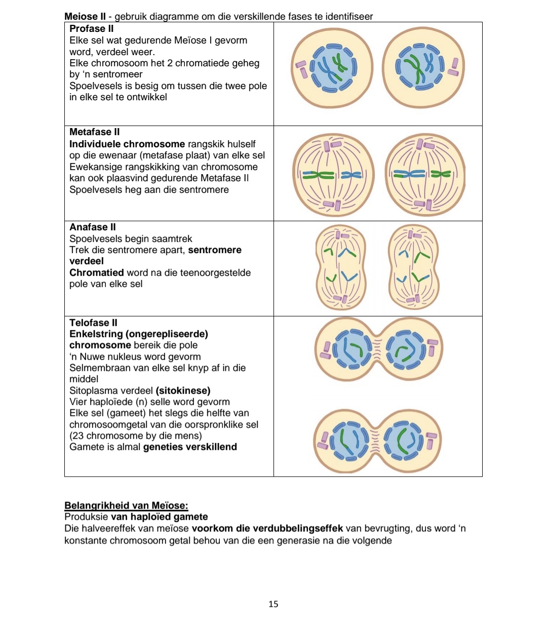 Graad 12 Lewenswetenskappe Opsommings en Hersiening Vraestel 2 - Image 5