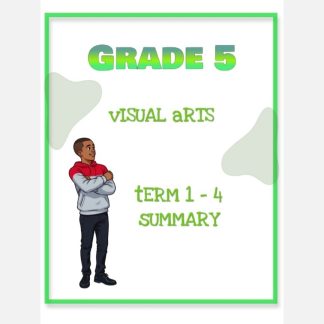 Grade 5 Visual Arts Summary