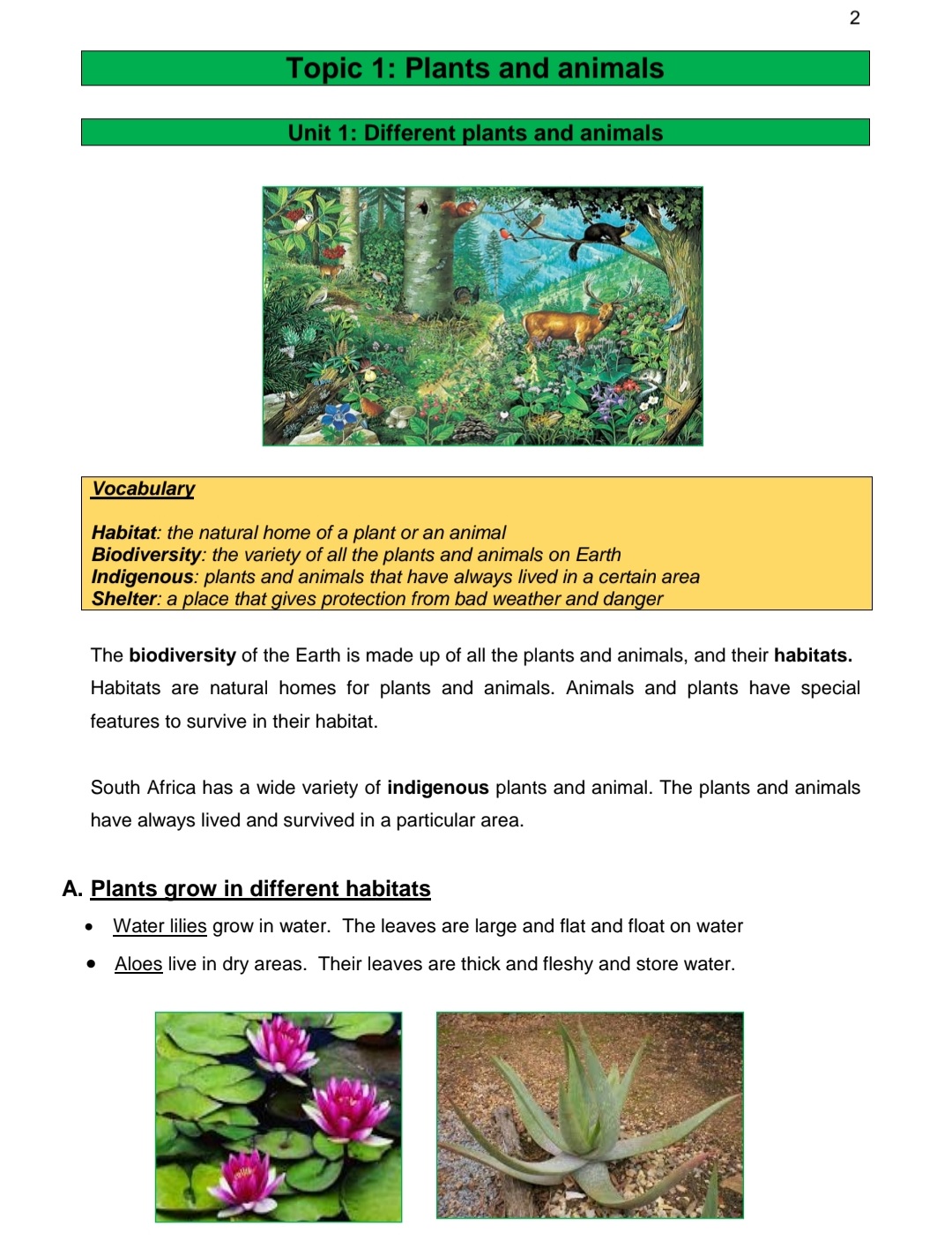 Grade 5 Natural Sciences and Technology Summary (Term 1 -4) - Image 3