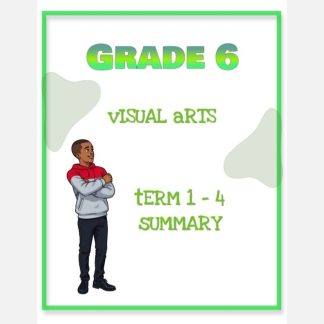 Grade 6 Visual Arts Summary (Term 1 - 4)
