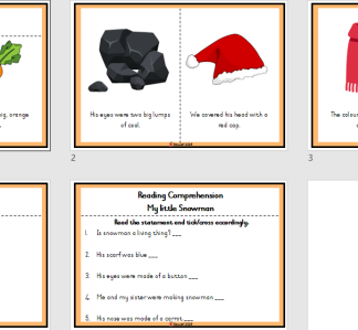 Reading comprehension