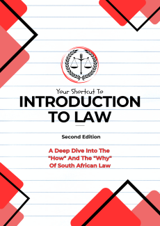 Second Edition: Introduction to Law Made Easy!