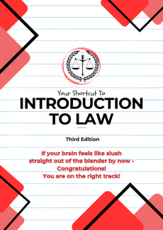 Third Edition: Introduction To Law Made Easy