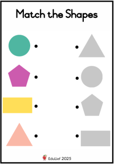 Grade R Mathematics Match the Shapes 2 (Age: 3-6 years)
