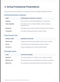 Business English lesson guidelines