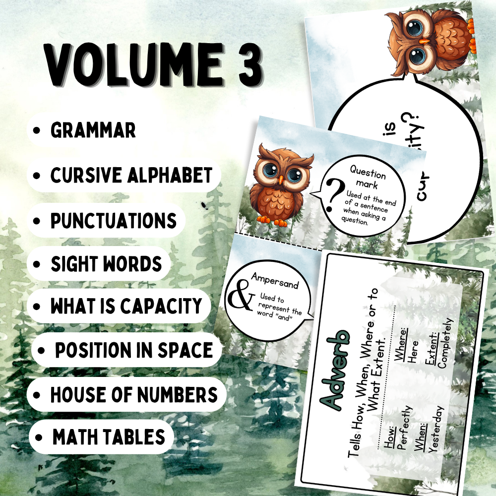 Owl Classroom Mega Bundle | 366 Pages | Classroom Decor, Learning Resources & Teacher Planner - Image 5
